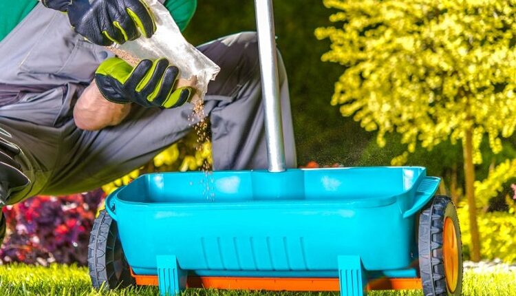 Lawn Fertilization