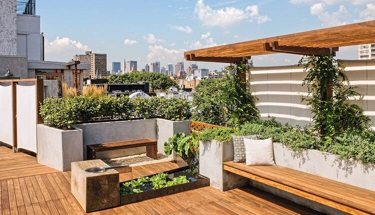 Rooftop Garden